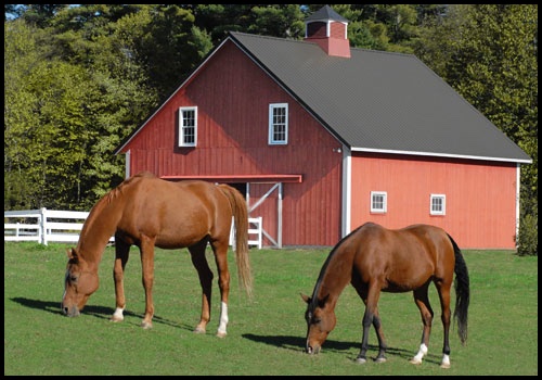 horse-barns