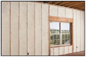 Spray Foam Insulation